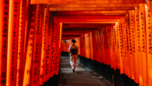 a walkway lined with orange tori tori gates in kyoto