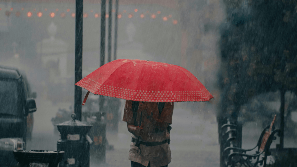 a person walking in the rain with a umbrella
