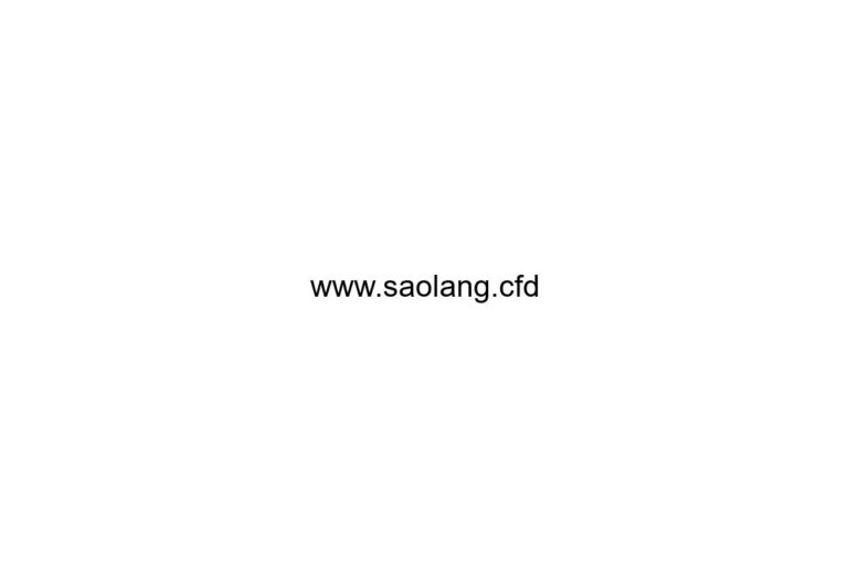 www-saolang-cfd