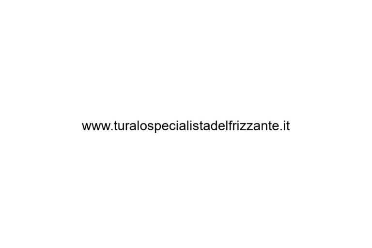 www-turalospecialistadelfrizzante-it