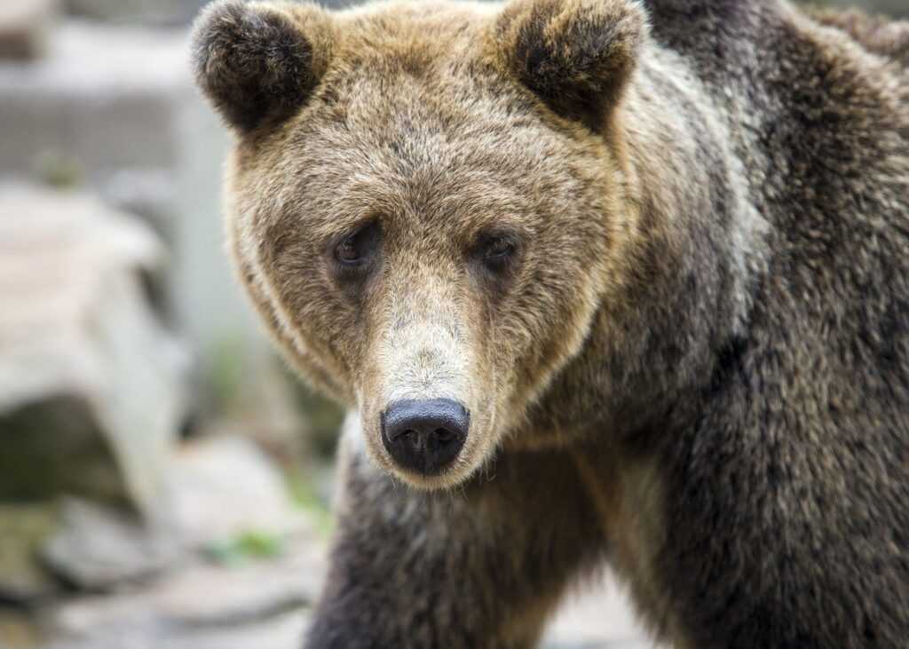 difference between r11 and r13 insulation