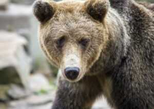 difference between r11 and r13 insulation