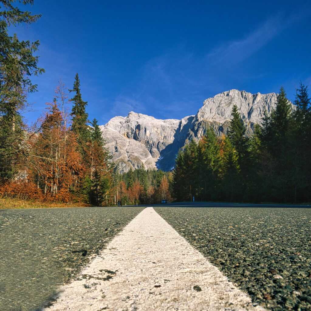 Long road leading to majestic mountains, surrounded by autumn forest under a clear blue sky.