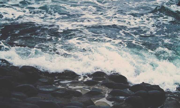 discount codes lwmfhotels