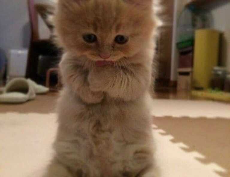 finding prices lwmfhotels lookwhatmomfound