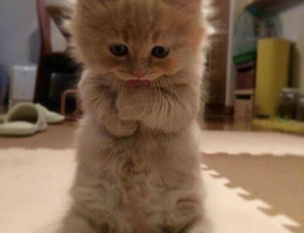 finding prices lwmfhotels lookwhatmomfound