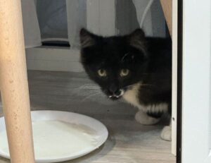 infoguide map lwmfmaps