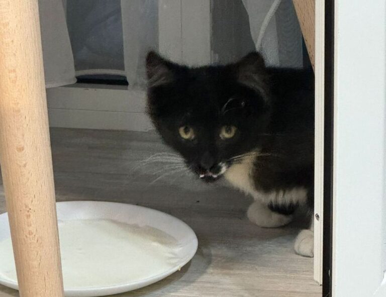 infoguide map lwmfmaps