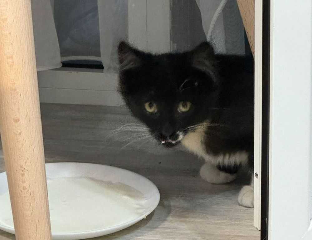 infoguide map lwmfmaps