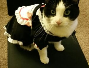 instructions for map guide lwmfmaps