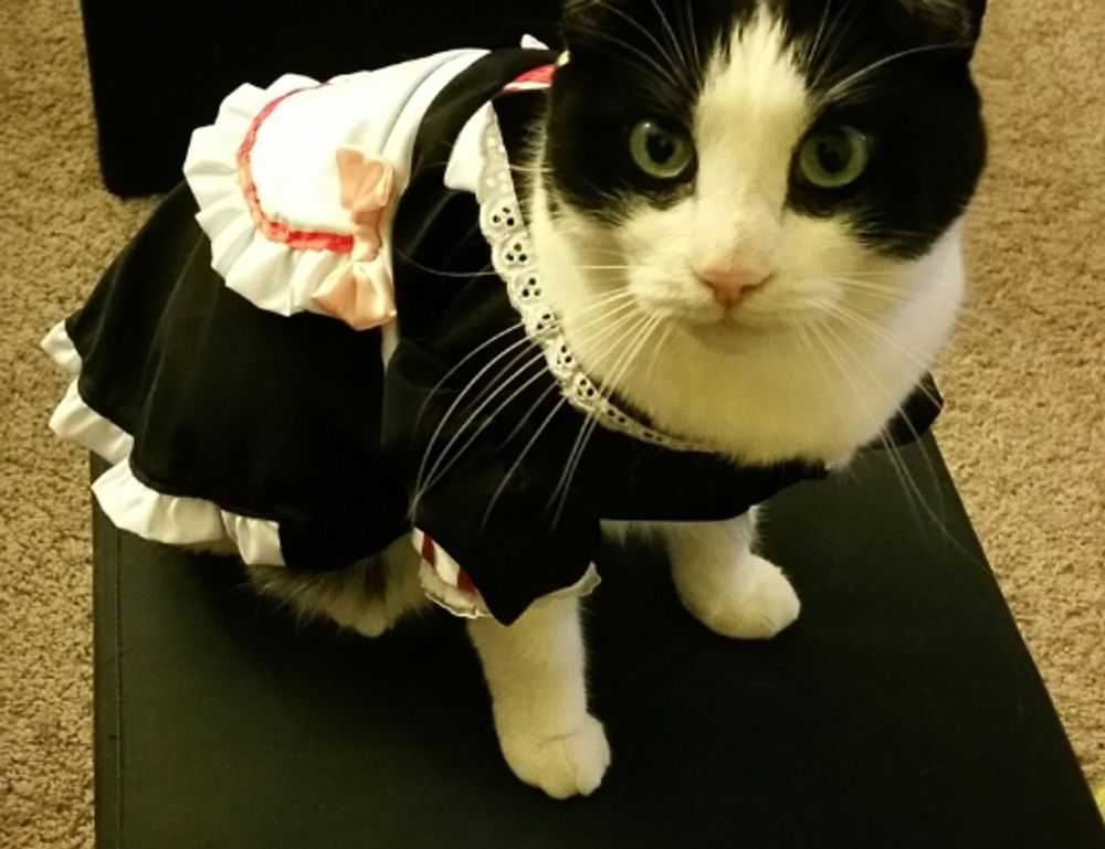 instructions for map guide lwmfmaps