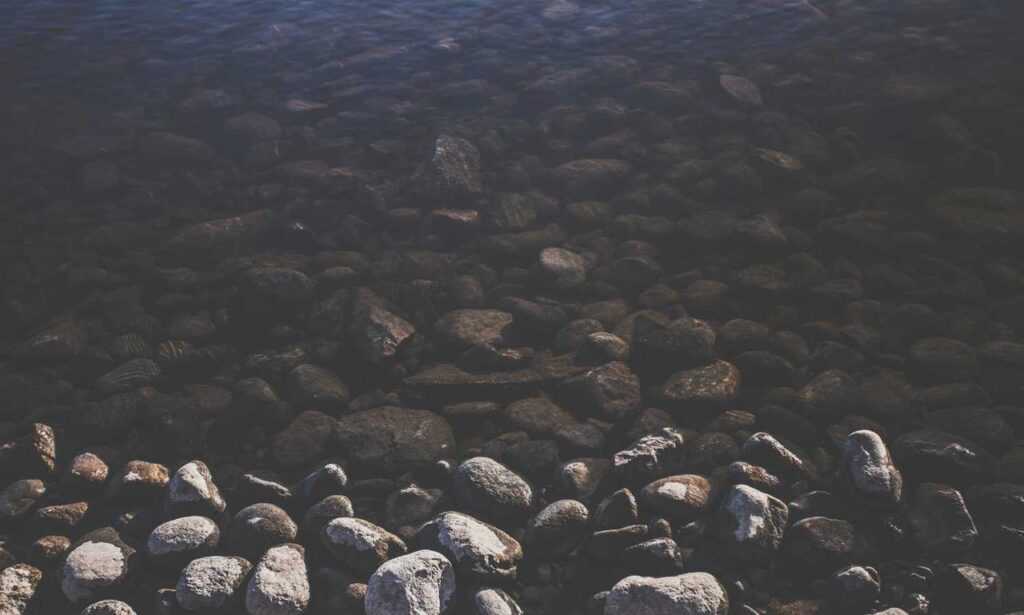 lwmfhotels offers by lookwhatmomfound