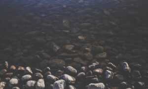 lwmfhotels offers by lookwhatmomfound