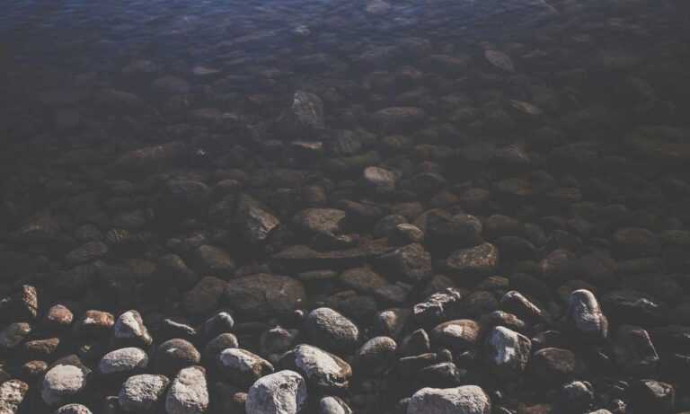 lwmfhotels offers by lookwhatmomfound