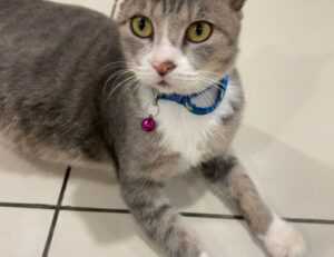 lwmfmaps travel guides