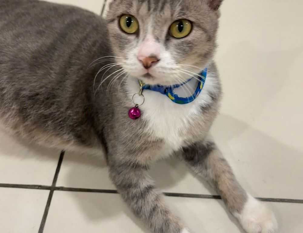 lwmfmaps travel guides