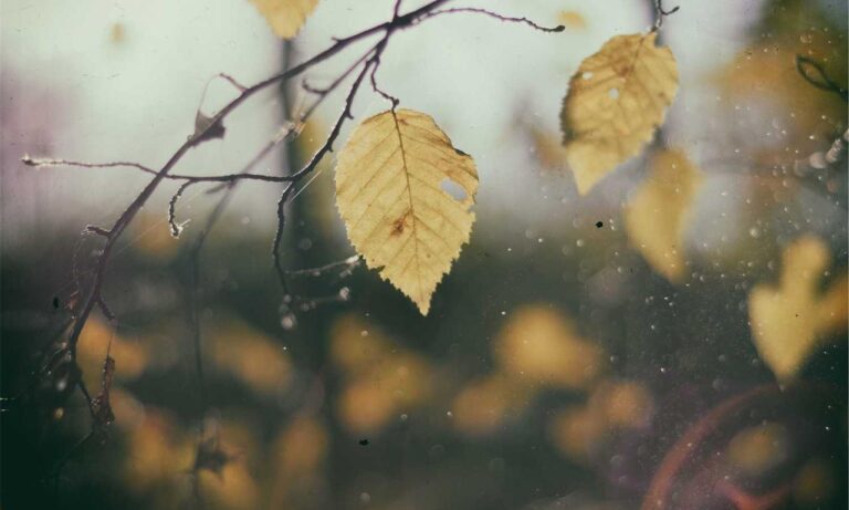 map guide ttweakmaps