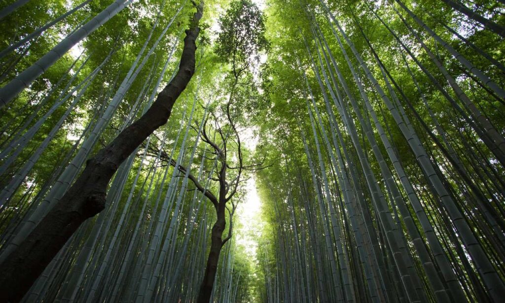 map guide ttweakmaps