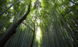 map guide ttweakmaps