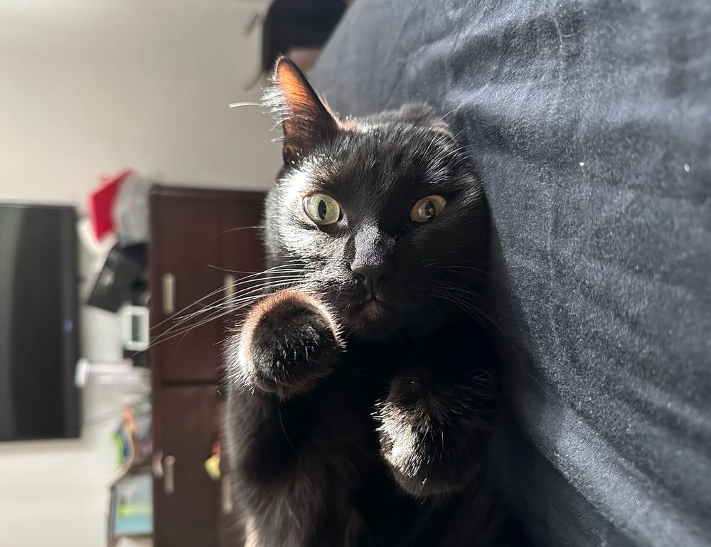 map guide ttweakmaps