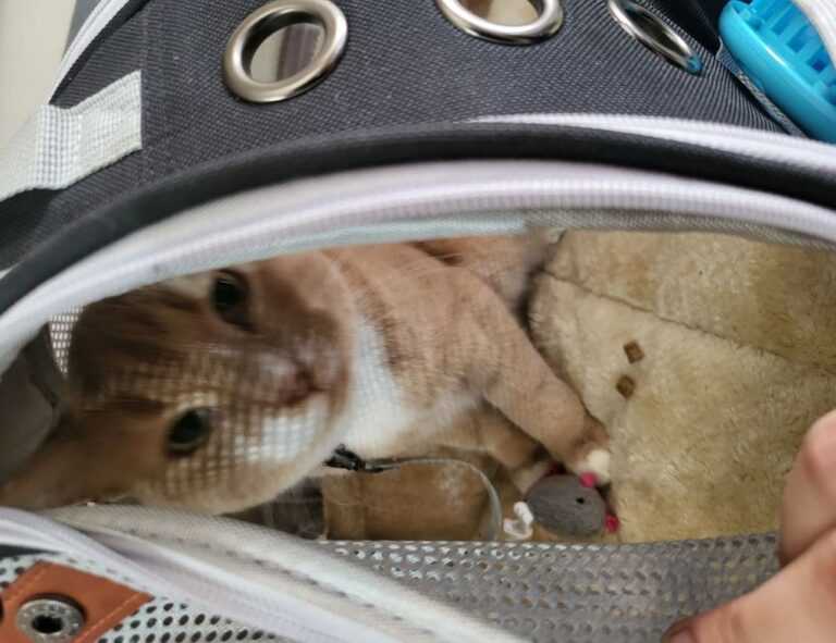 map guide ttweakmaps from traveltweaks