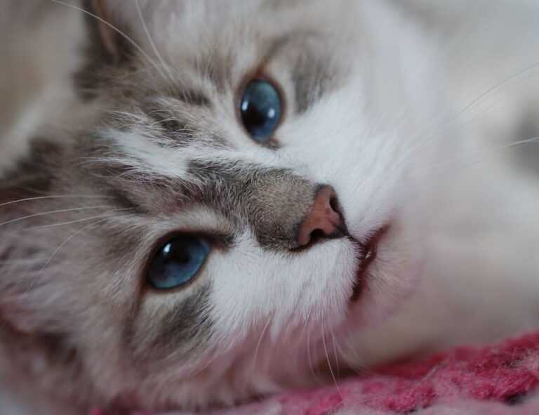 map guides ttweakmaps