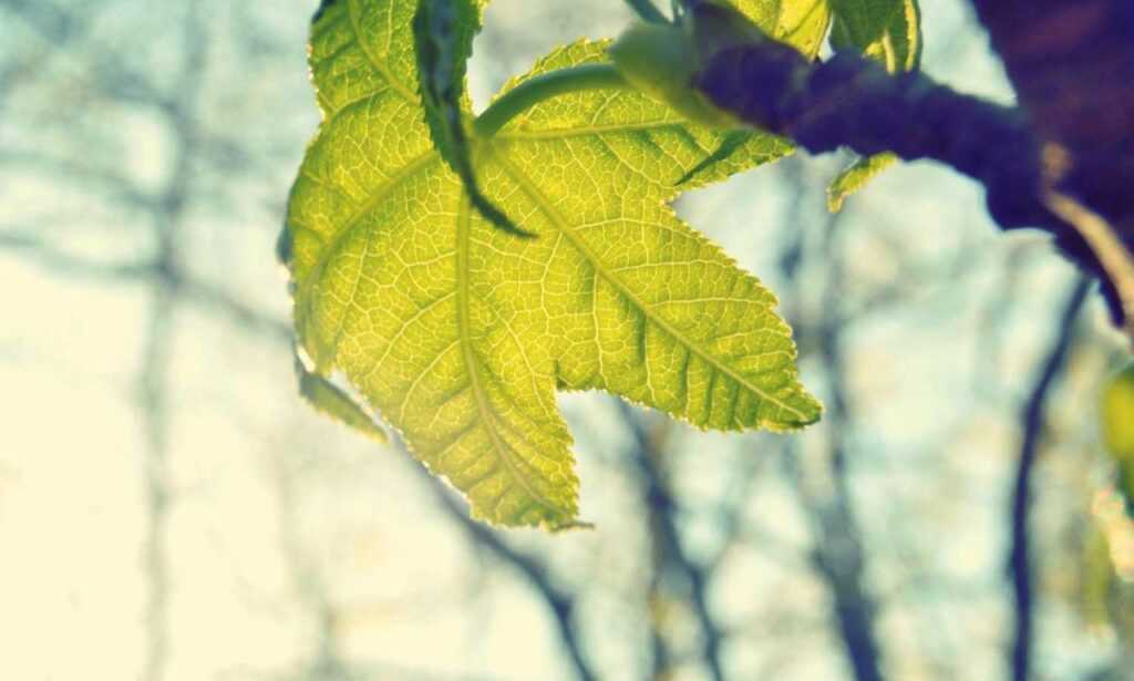 map guides ttweakmaps by traveltweaks