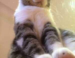 map guides ttweakmaps from traveltweaks