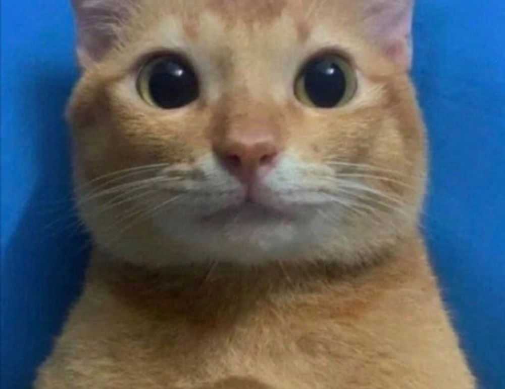 map guides ttweakmaps