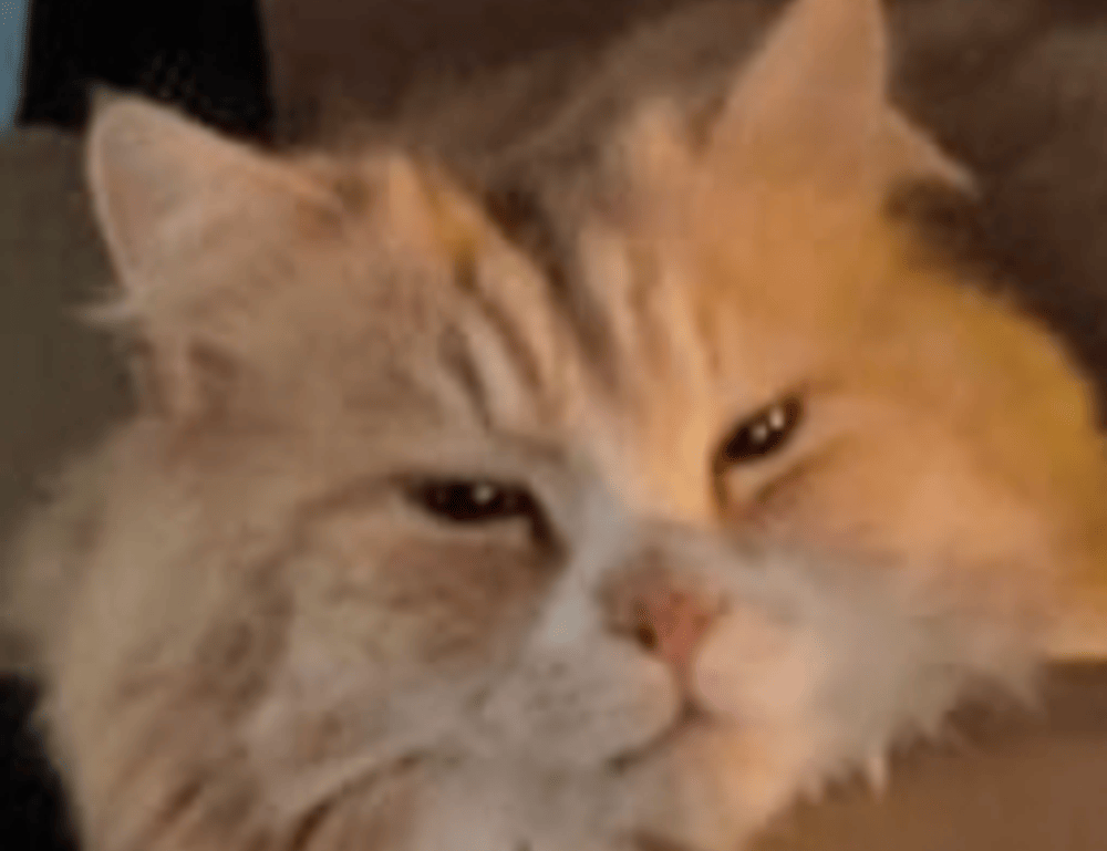 map guides ttweakmaps