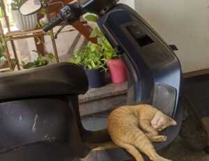 problem on computer 8379xnbs8e02328ws