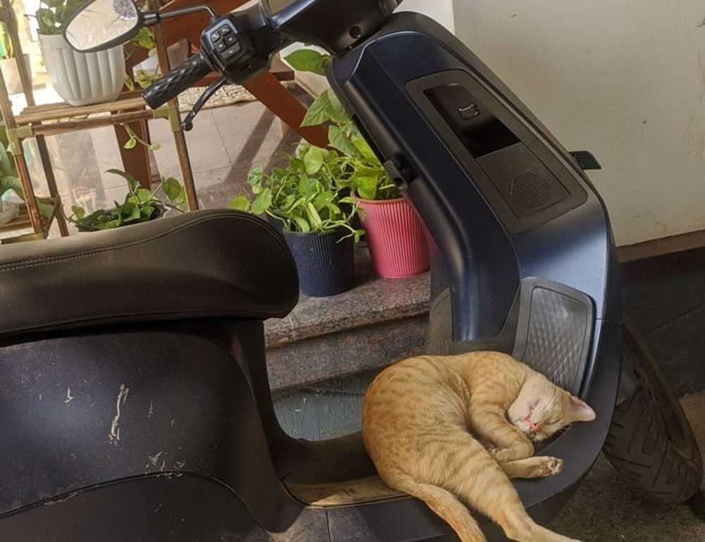 problem on computer 8379xnbs8e02328ws