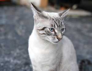 the map guide ttweakmaps