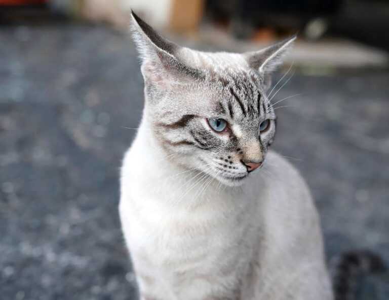 the map guide ttweakmaps