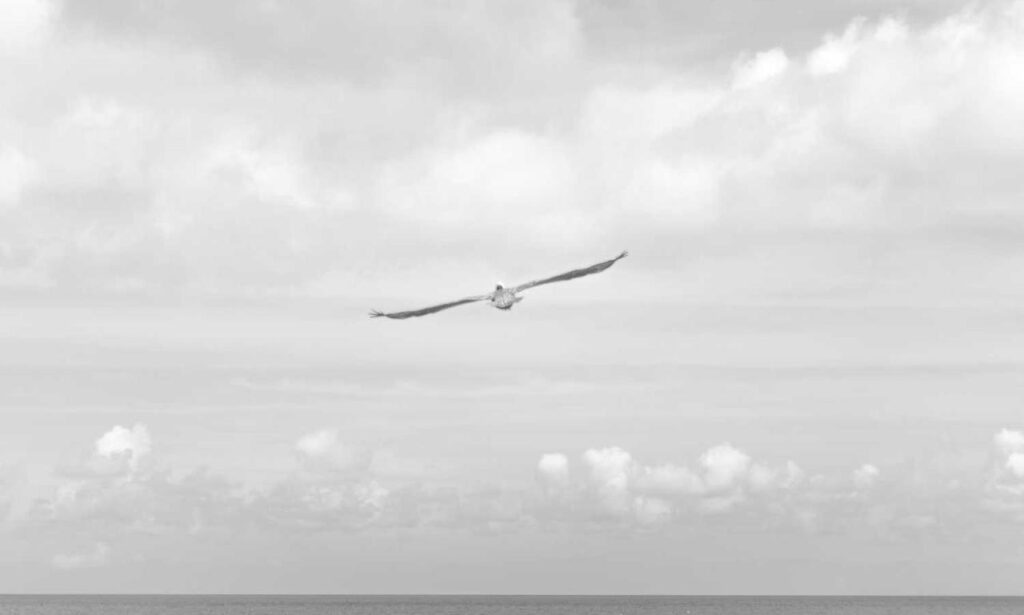 the map guides ttweakmaps