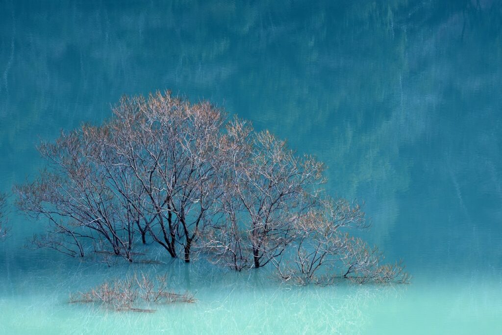 the map guides ttweakmaps