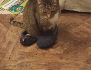 the map guides ttweakmaps