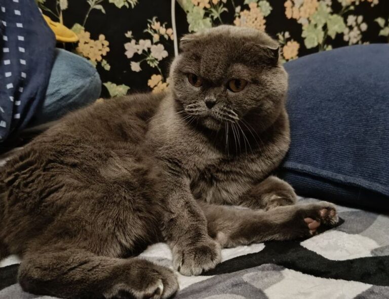 the map guides ttweakmaps