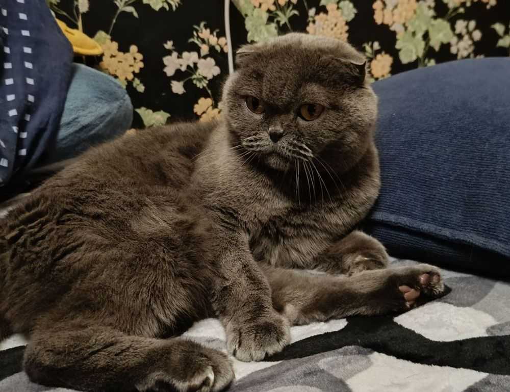 the map guides ttweakmaps