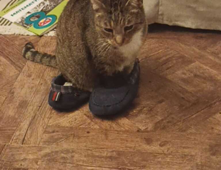 the map guides ttweakmaps