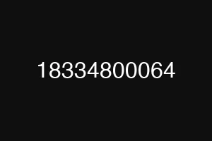 18334800064