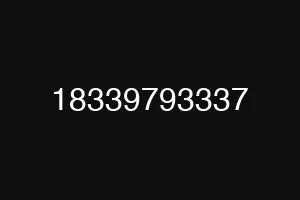 18339793337
