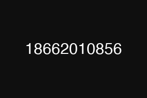 18662010856
