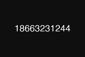 18663231244