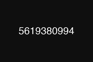5619380994