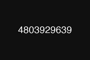 4803929639
