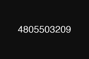 4805503209