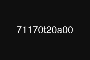 71170t20a00
