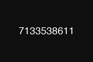 7133538611