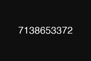 7138653372